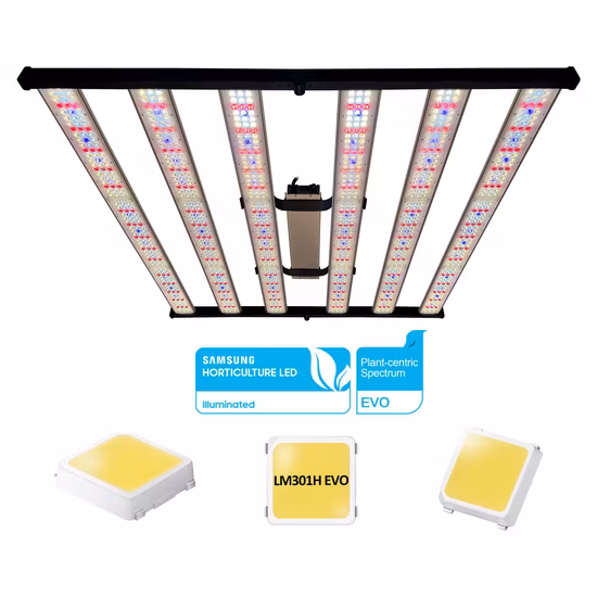 Medical Plants Indoor Cultivation High Ppfd 1000W 8000W 680W Full Spectrum LED Grow Light for Blooming Veg Flower