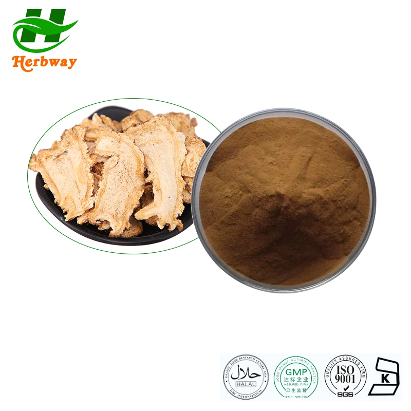 Herb Extract Dong Quai Extract Angelica Powder 10: 1 Health Food Pharmaceutical Angelica Extract