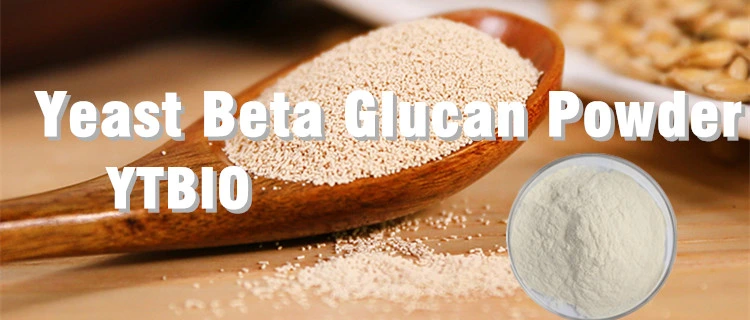 Natural Yeast Extract 80% Powder Yeast Beta Glucan