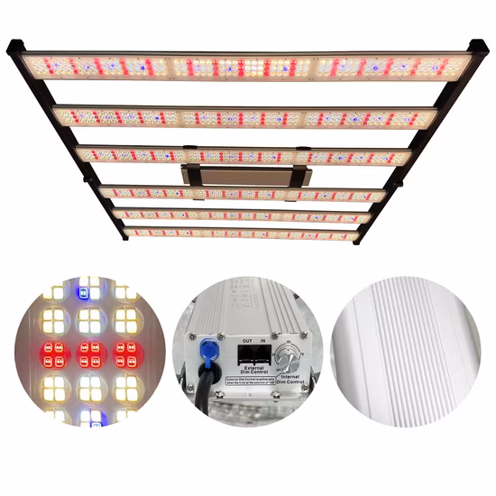 Medical Plants Indoor Cultivation High Ppfd 1000W 8000W 680W Full Spectrum LED Grow Light for Blooming Veg Flower