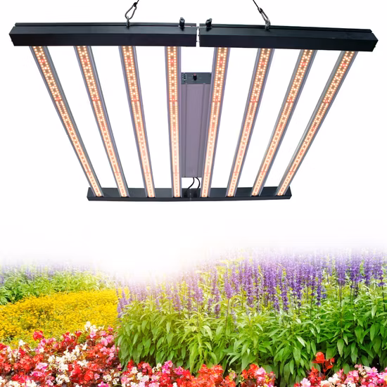 Medical Plants Indoor Cultivation High Ppfd 1000W 8000W 680W Full Spectrum LED Grow Light for Blooming Veg Flower