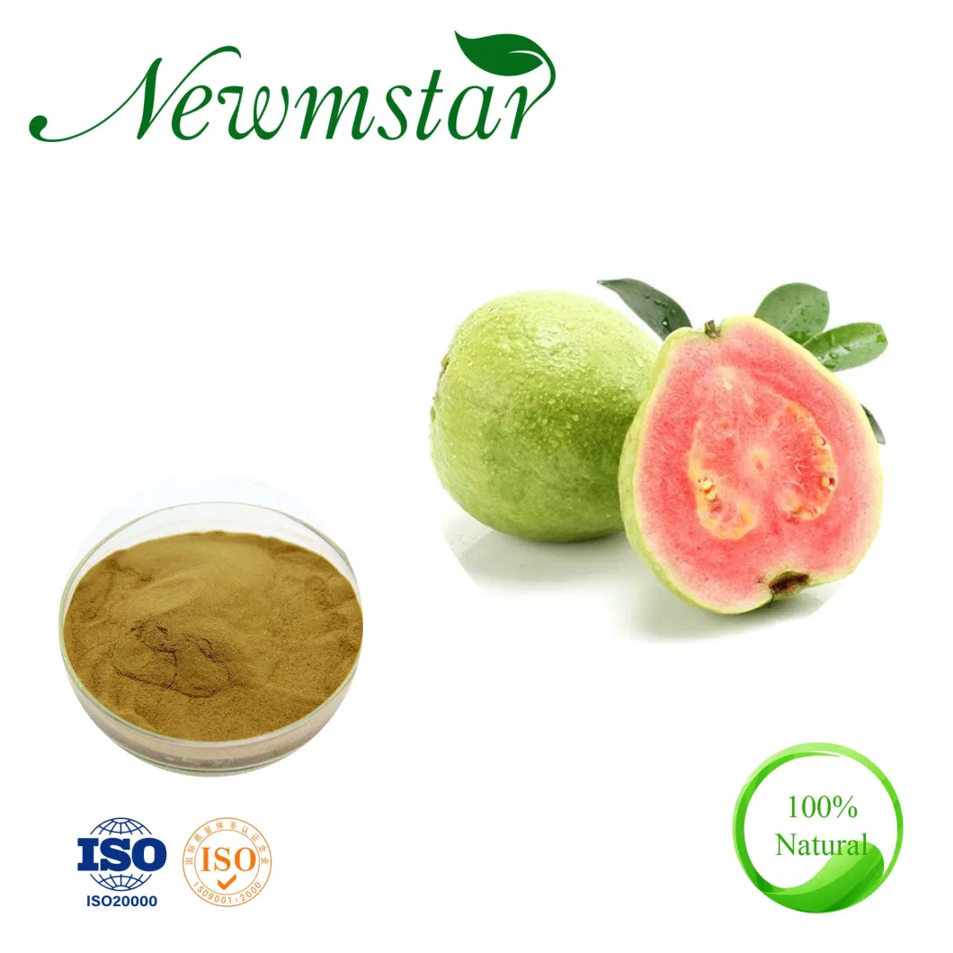 Guava Fruit Extract Polyphenols Ellagic Acid and Flavonoids Powder