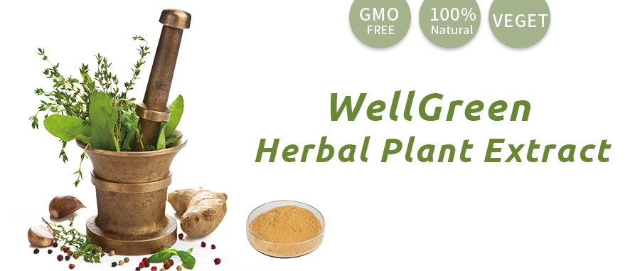 Wellgreen Natural 10: 1 Antioxidant Activity of Mimosa Root Bark Extract