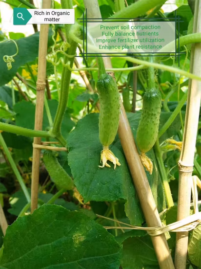 Sojabohnen-Quellverbindung, wasserlöslicher Dünger, natürlicher pflanzlicher Ursprung, 80 % Aminosäure