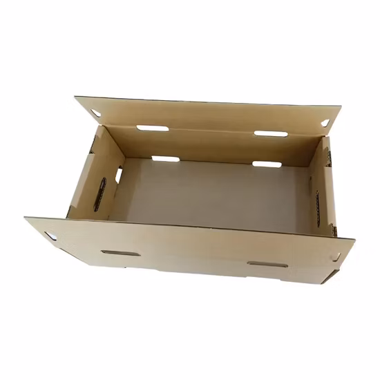 Mit individuellem Markenlogo bedruckte Äpfel, die frisches Obst verpacken, Wellpappe-Box, Avocado-Obst- und Gemüsemarkt-Tablett